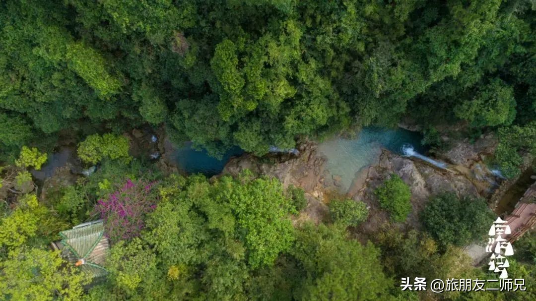 佛山广州两天两夜游玩攻略,佛山去南海湾森林公园