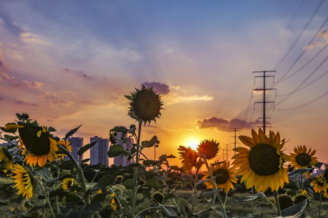 文学评论精短范文赏析,文学评论的内涵