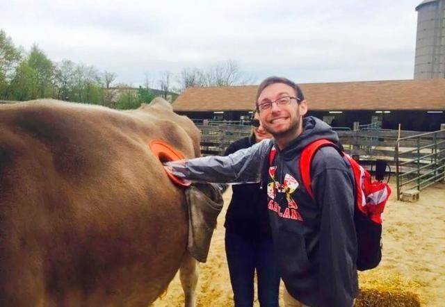 美国人养牛新方法,美国人养牛的方法