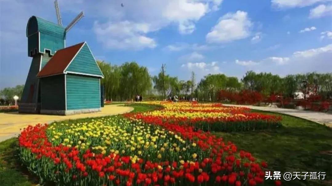 我们如此热爱石家庄|想和你，在石家庄想和你一起做的事