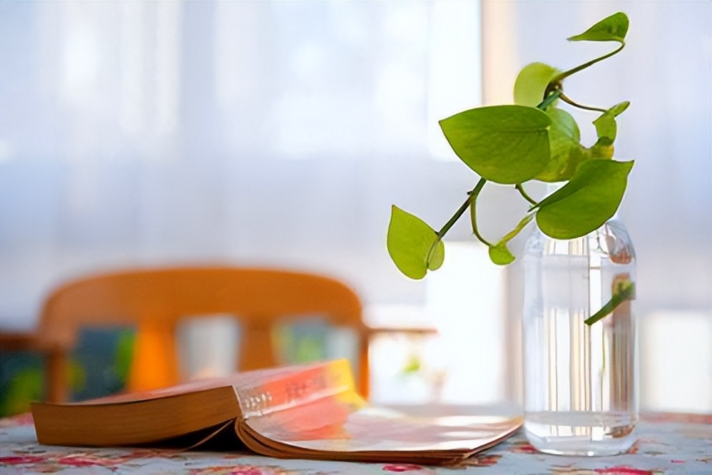 不经一事如何分辨是人是鬼,判断一个人是人是鬼