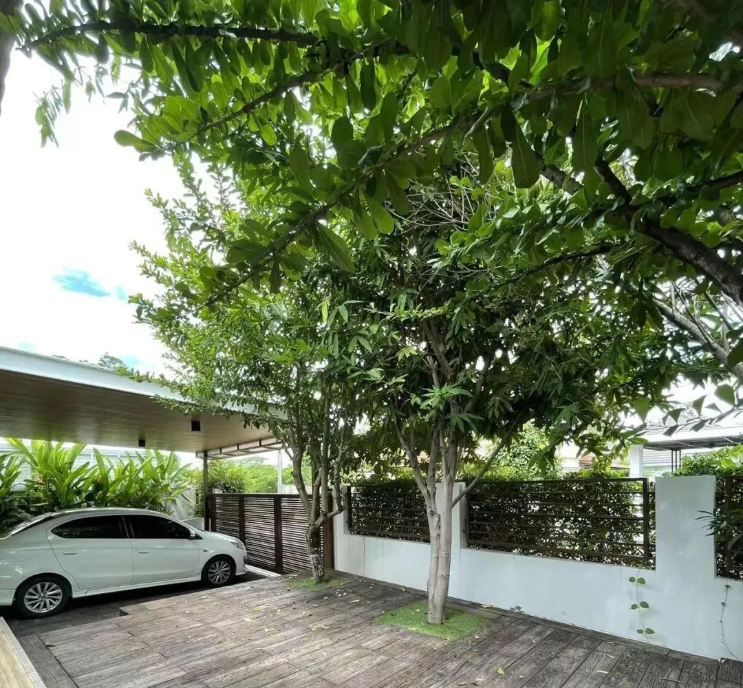 中国妈妈在泰国鸡娃:攒百万教育基金,想佛系却给孩子天天补习