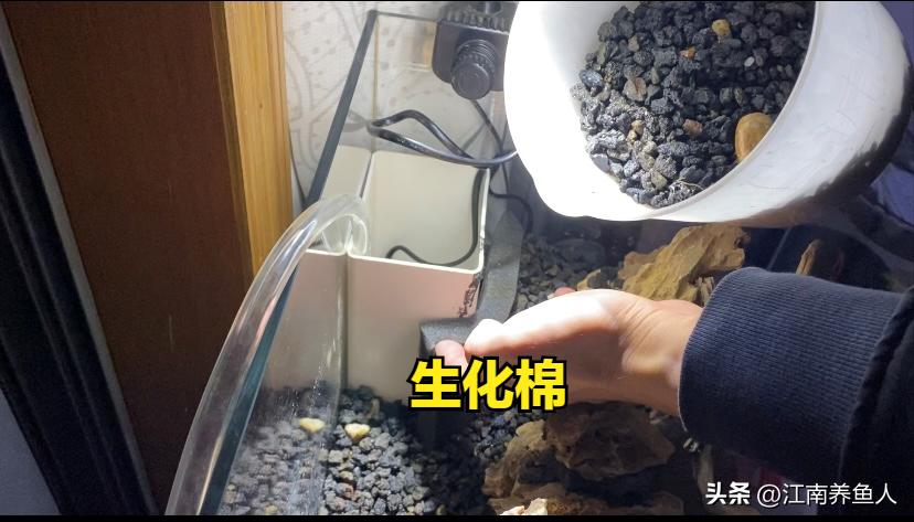 造景缸跟水陆缸一体缸,长方形的缸怎么造景水陆缸