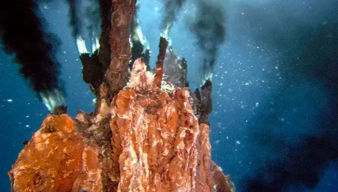 热液盲虾生活在450℃海底热泉旁，数量惊人，能不能用来烫火锅？