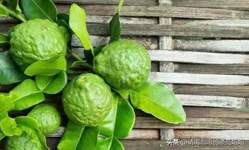 云南天皓庄园,云南天皓咖啡豆