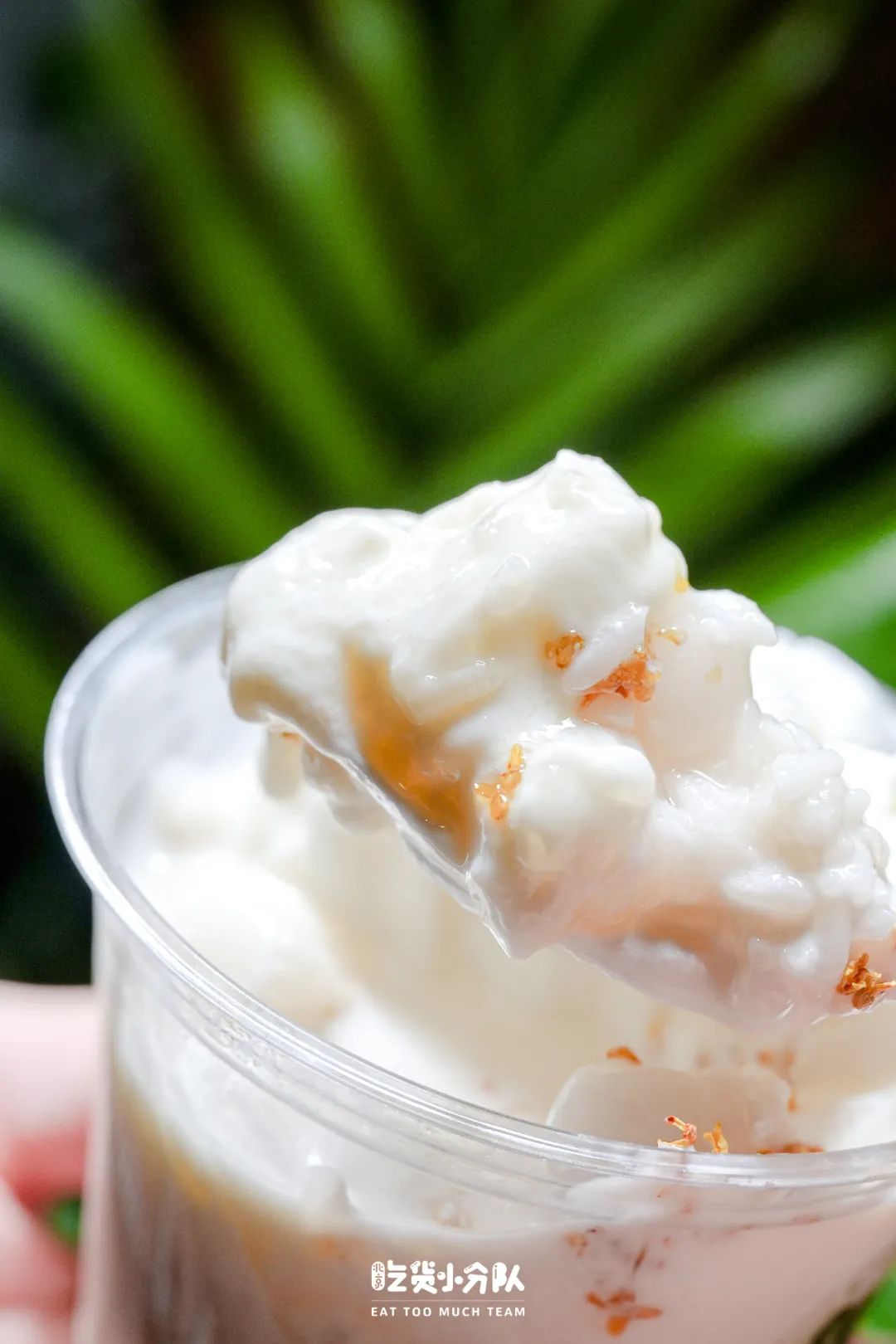 全球首家笑脸奶茶，来朝悦了