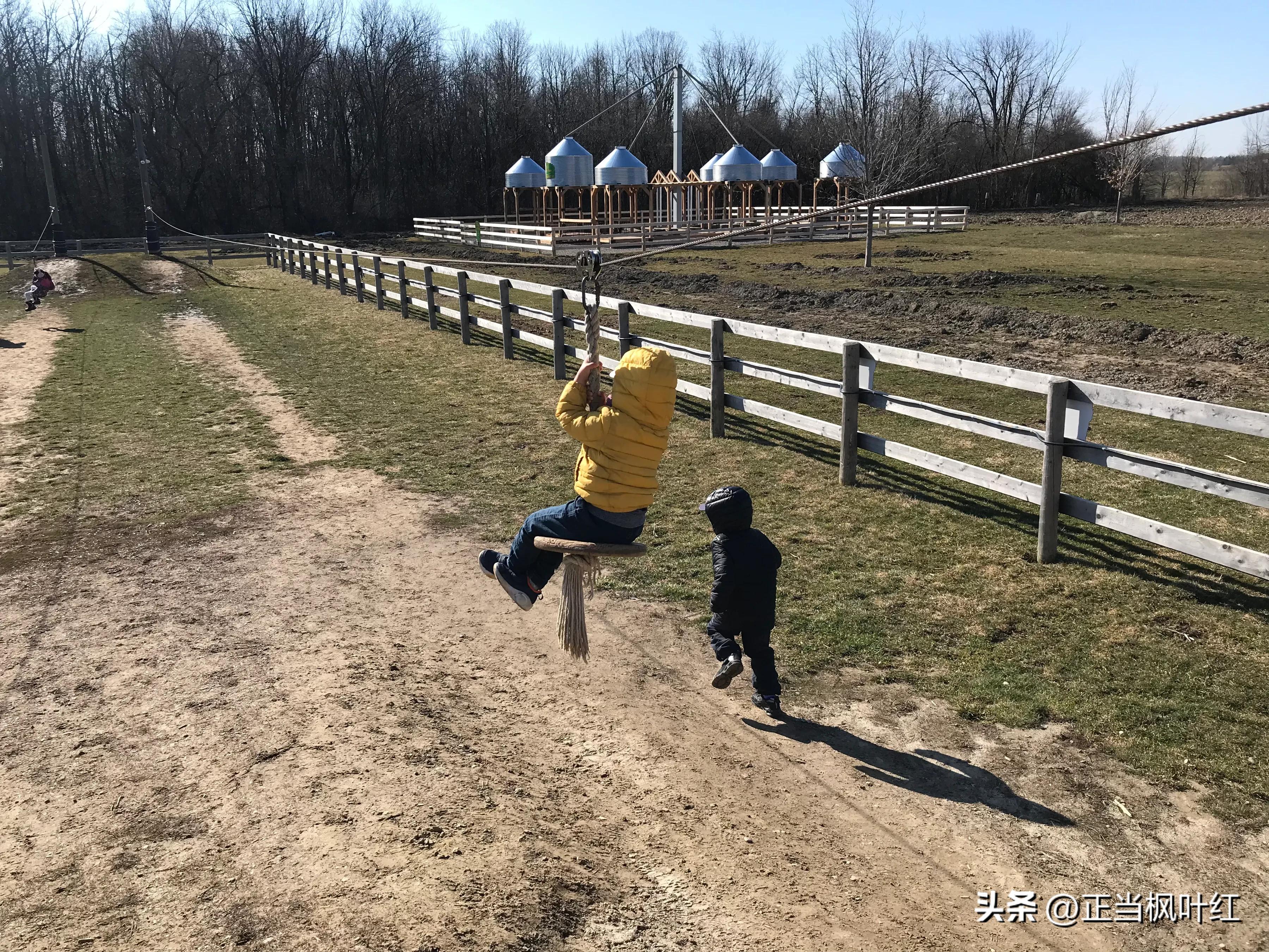 中国姥姥回国,中国姥姥真实一天视频