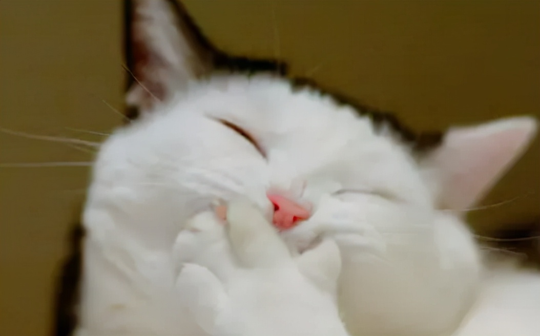 恶性肿瘤可以吃乳清蛋白粉,肿瘤患者肠内营养配方一般选择