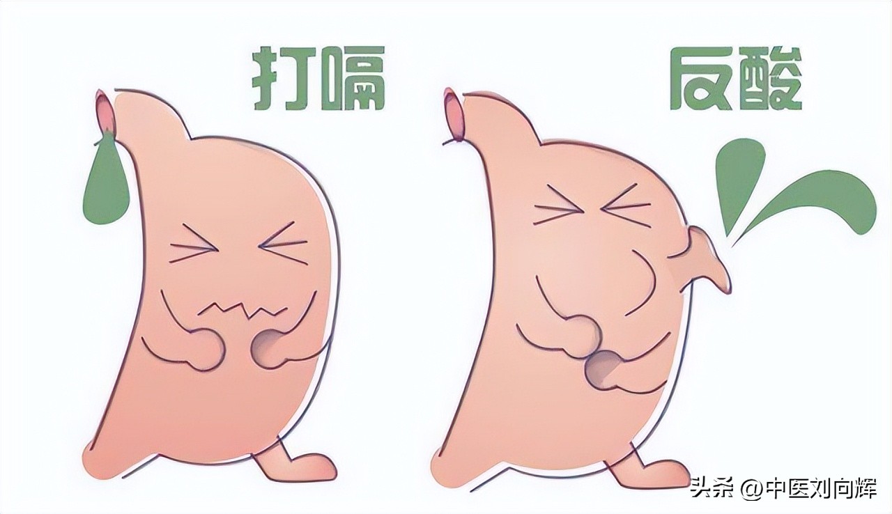 湿气重保温杯里适合泡什么,保温杯里泡一味药材