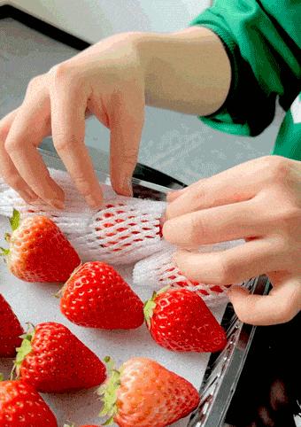 拼多多水果好评榜和畅销榜,拼多多水果销量200单