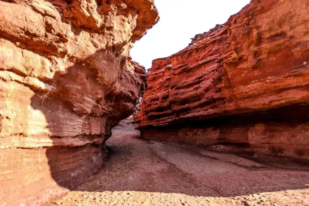 向北向北！|“美”在内蒙古