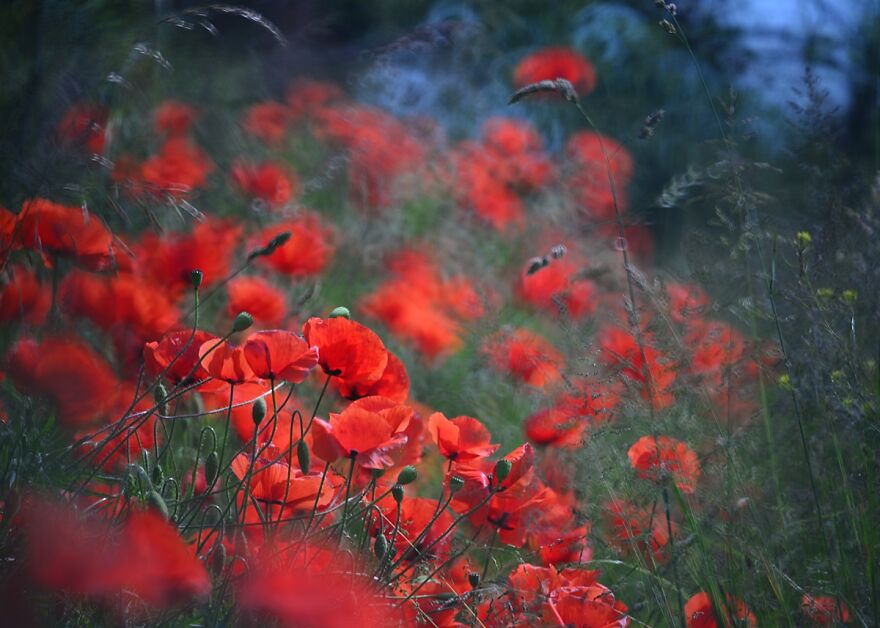 大自然的美景秋天摄影照片,美丽的大自然春夏秋冬图片大全