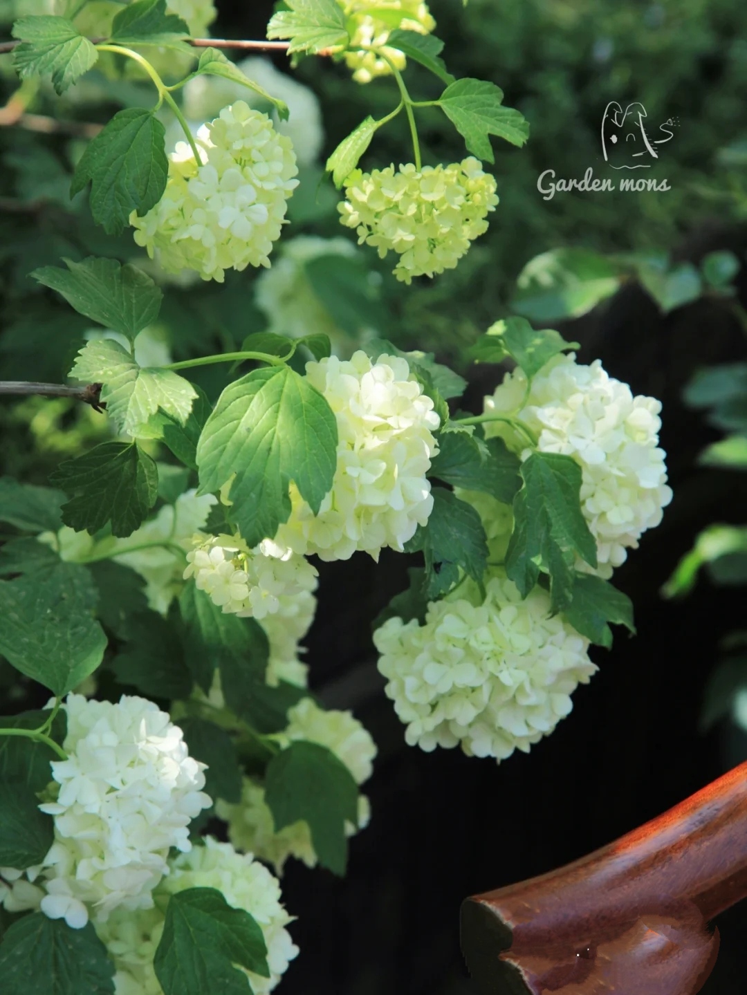 最简单省钱好打理的庭院设计方案,极简风格的庭院设计