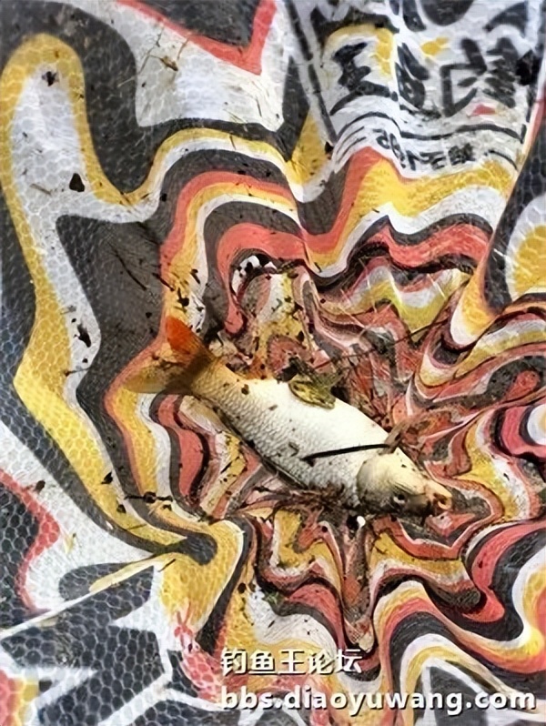 用饵料钓小河边的鱼,用钓鱼王饵料能钓到什么鱼