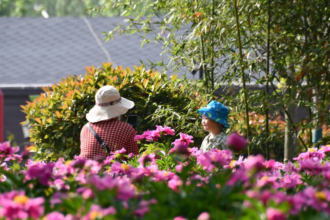 许昌人周末游玩,许昌人去哪景区免门票