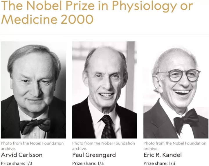 重磅长文|千禧年诺奖得主PaulGreengard与神经信号传递（四）