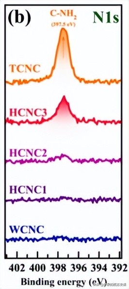 纤维素纳米晶体长宽比对所有CNC薄膜性能的影响被膜和木材CNC