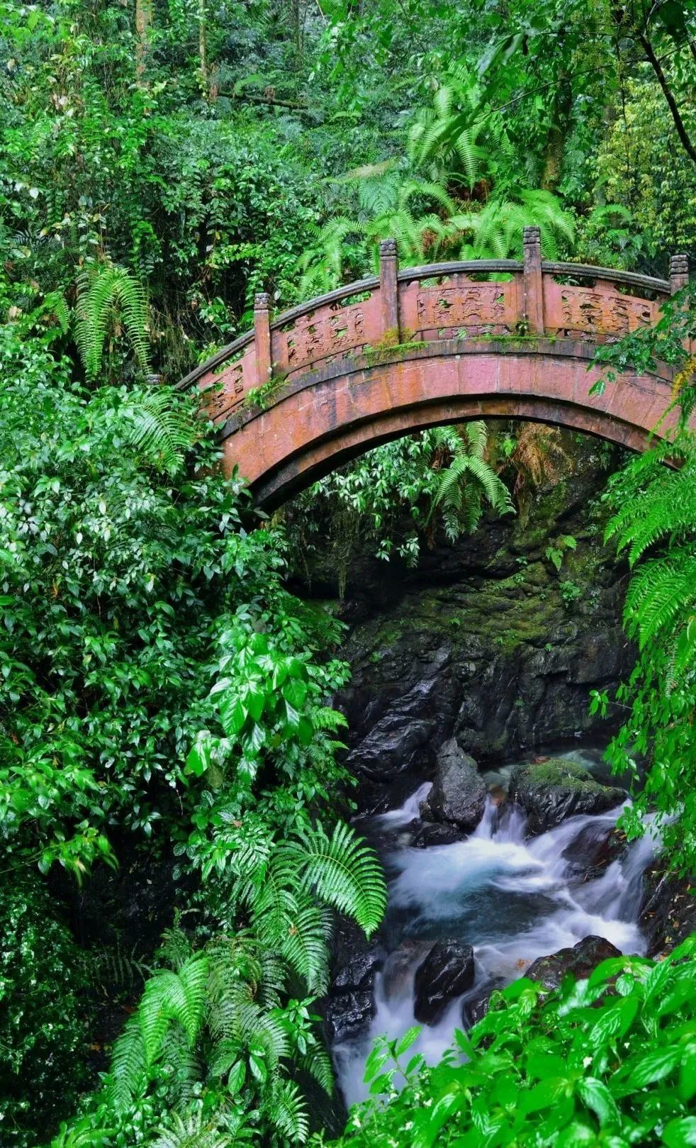 2020五一峨眉山开放的景点,五一峨眉山旅游攻略