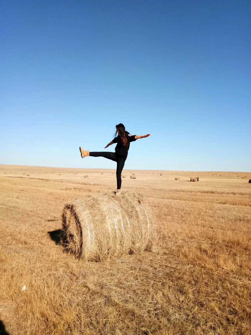 清明节去哪儿旅游最好内蒙古,清明节去草原旅游怎么样