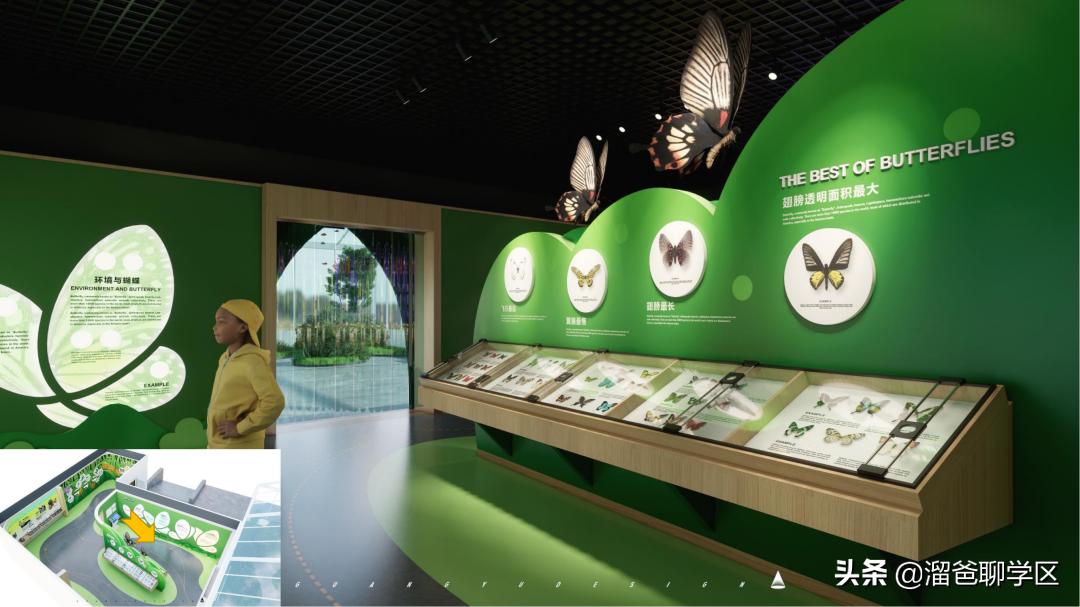 青羊树德实验弘毅校区,树德实验中学弘毅校区怎样