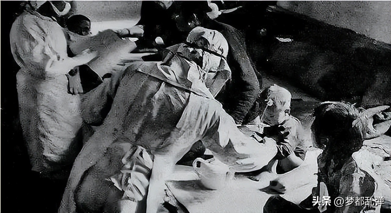 揭秘日本731部队视频,揭秘日本731部队大分享