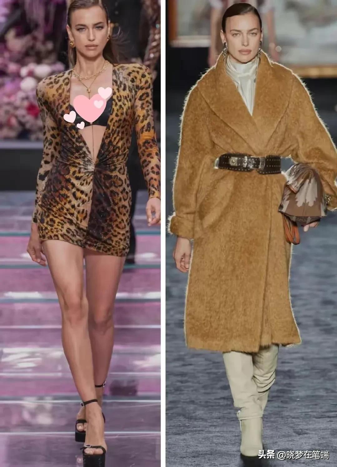 c罗前女友伊莲娜身价有c罗高吗,c罗前女友伊莲娜现在的照片