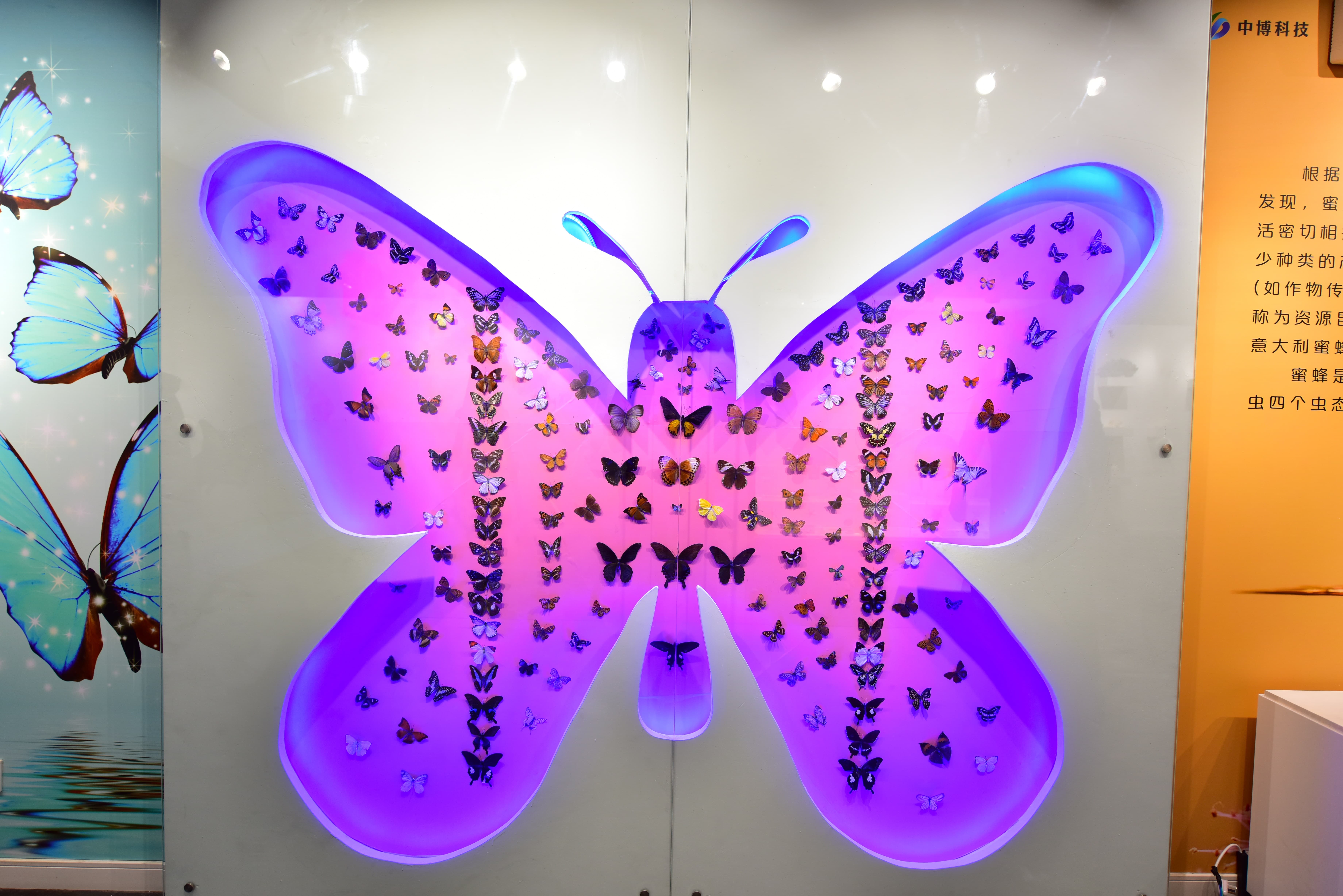 郑州研学景点简介,郑州研学旅行基地有哪些