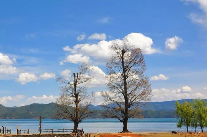 泸沽湖风景真实照片,泸沽湖到贵州沿途风景