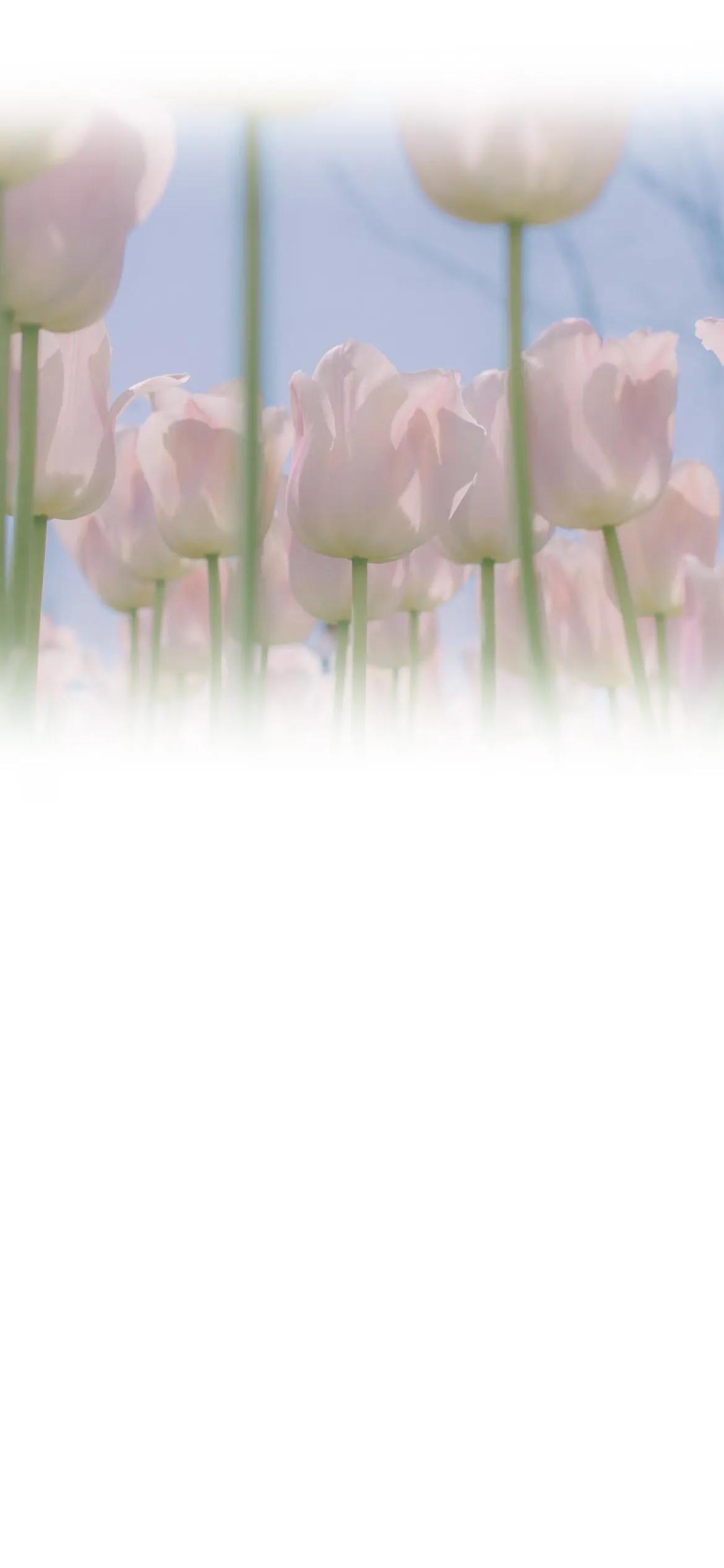 微信聊天背景渐变图,聊天背景壁纸图片彩色渐变