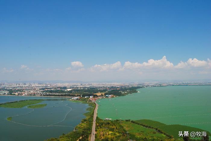 滇池蓝藻治理花费,官方回应滇池池水变绿蓝藻泛滥
