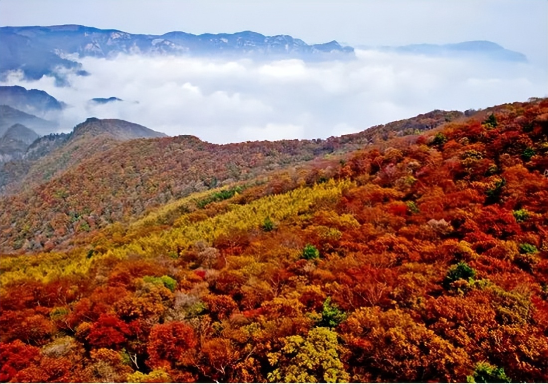 金秋山西旅行攻略,山西国庆出游好地方推荐