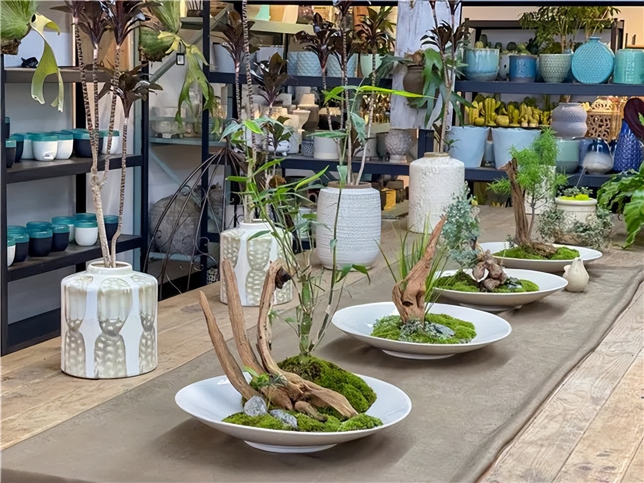 他在花市开了三家“非常规”花店，业绩不凡，成为同行学习的样板