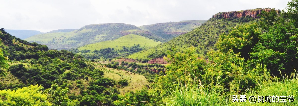 建国首日就与我国建交的非洲穷国，8种罕见水果，你见过几种