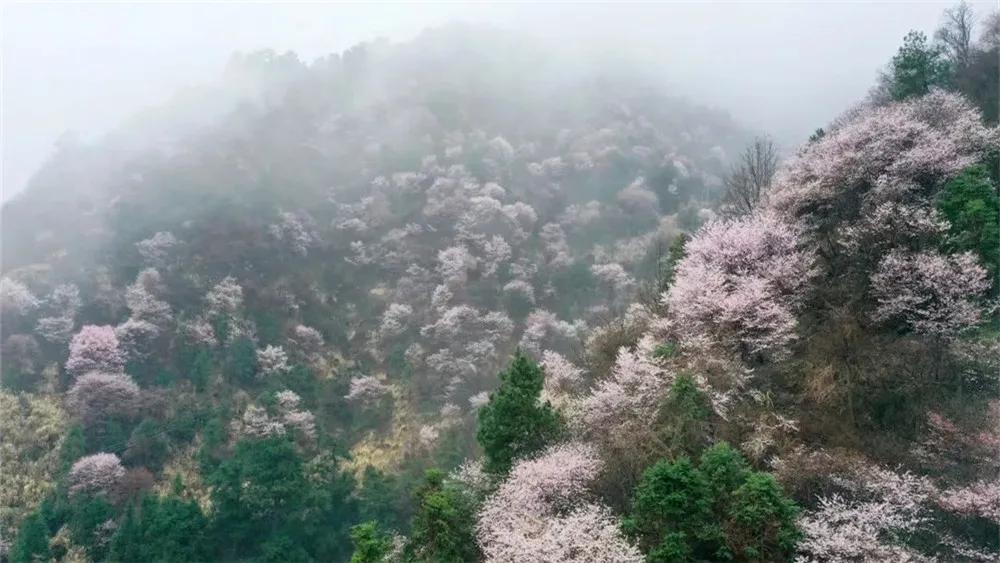 预测刷屏！疫情今春有望结束？适合2月去的18个大美山河准备好了