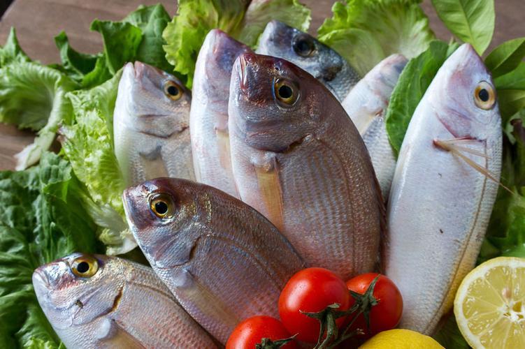 癌症患者吃哪种鱼最好,这五种鱼吃了会得癌