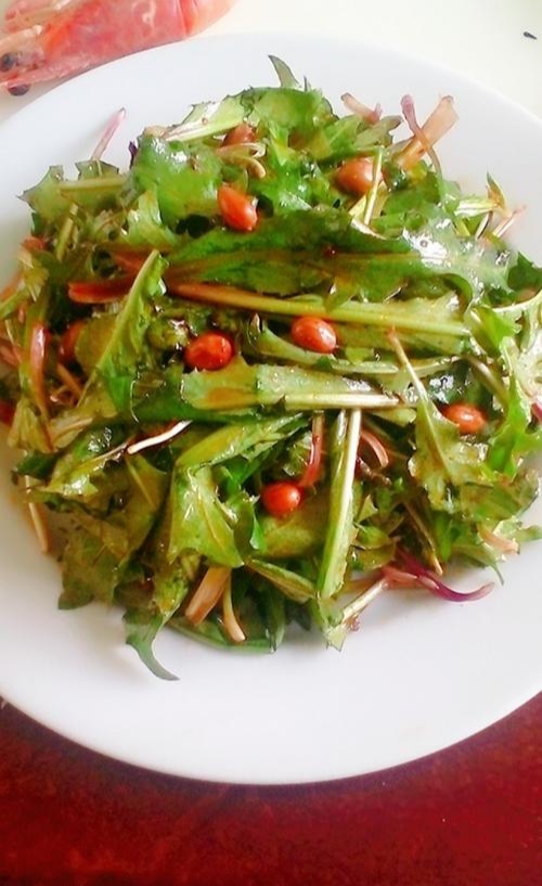 蒲公英热量及营养成分表,蒲公英哪种成分降肝火