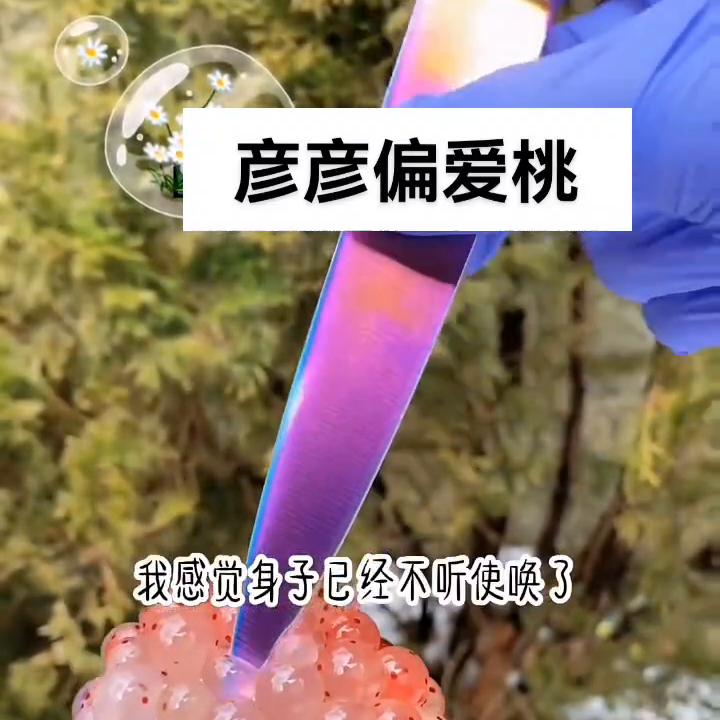 彦彦喜欢葛小伦吗,彦彦爱吃臭鳜鱼