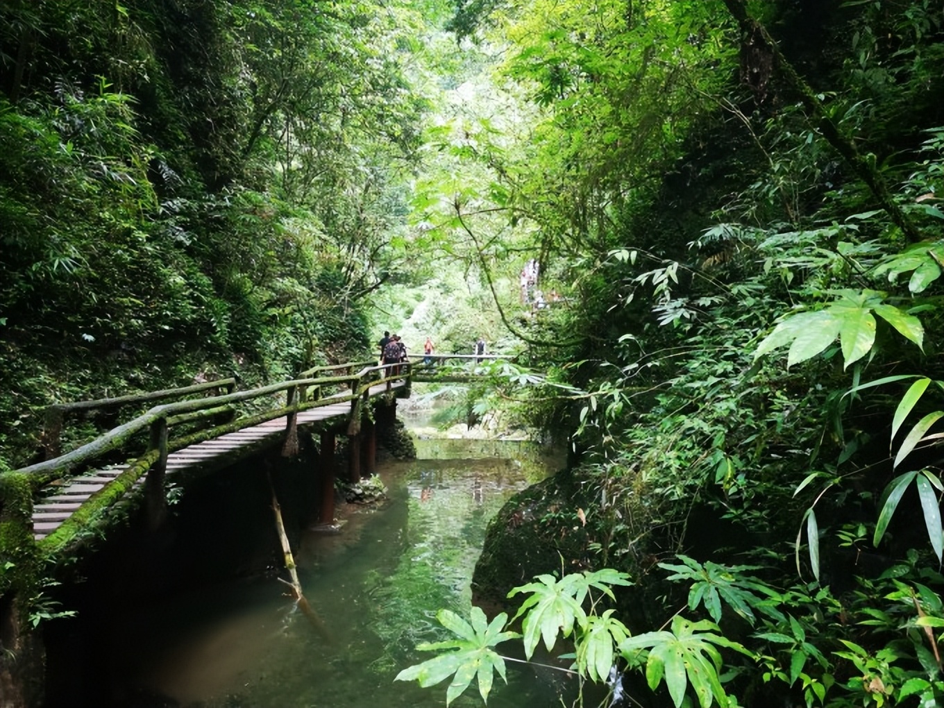 青城后山白云索道上山大概几分钟,青城后山游玩攻略大全