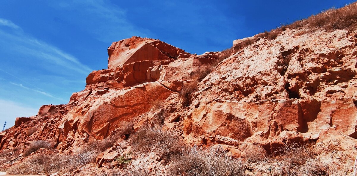 凉州词小学生版古诗,凉州词的古诗全篇