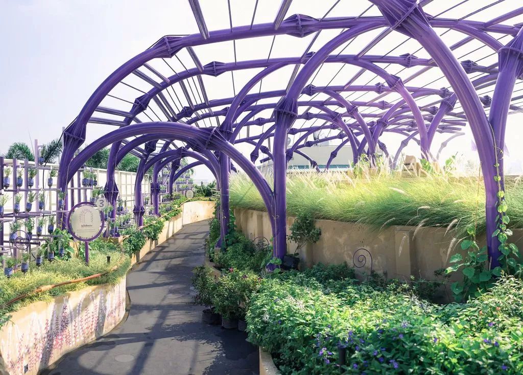 屋顶适合建设哪种绿色屋顶,绿色屋顶建筑