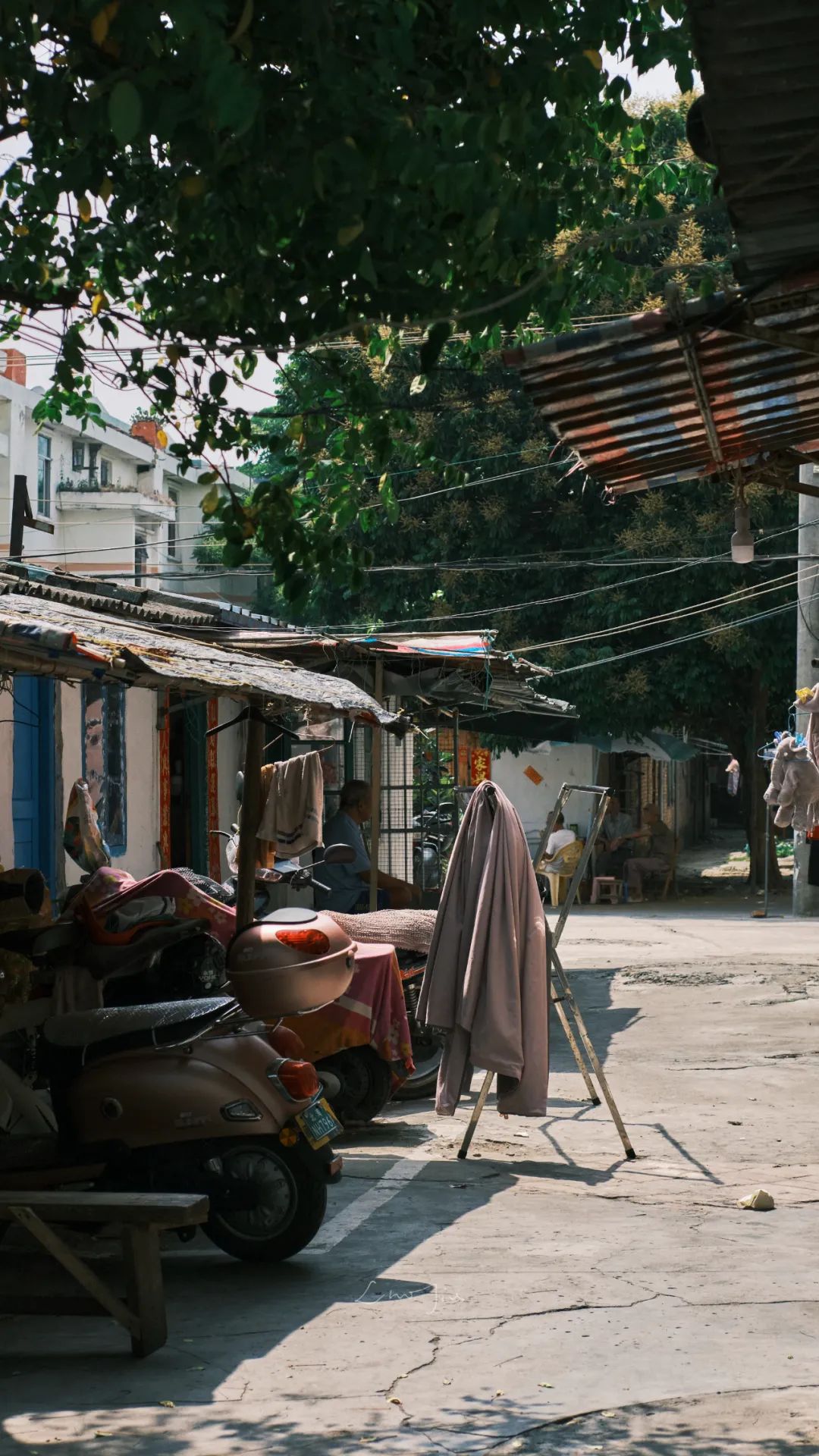 你根本没有去过侨港