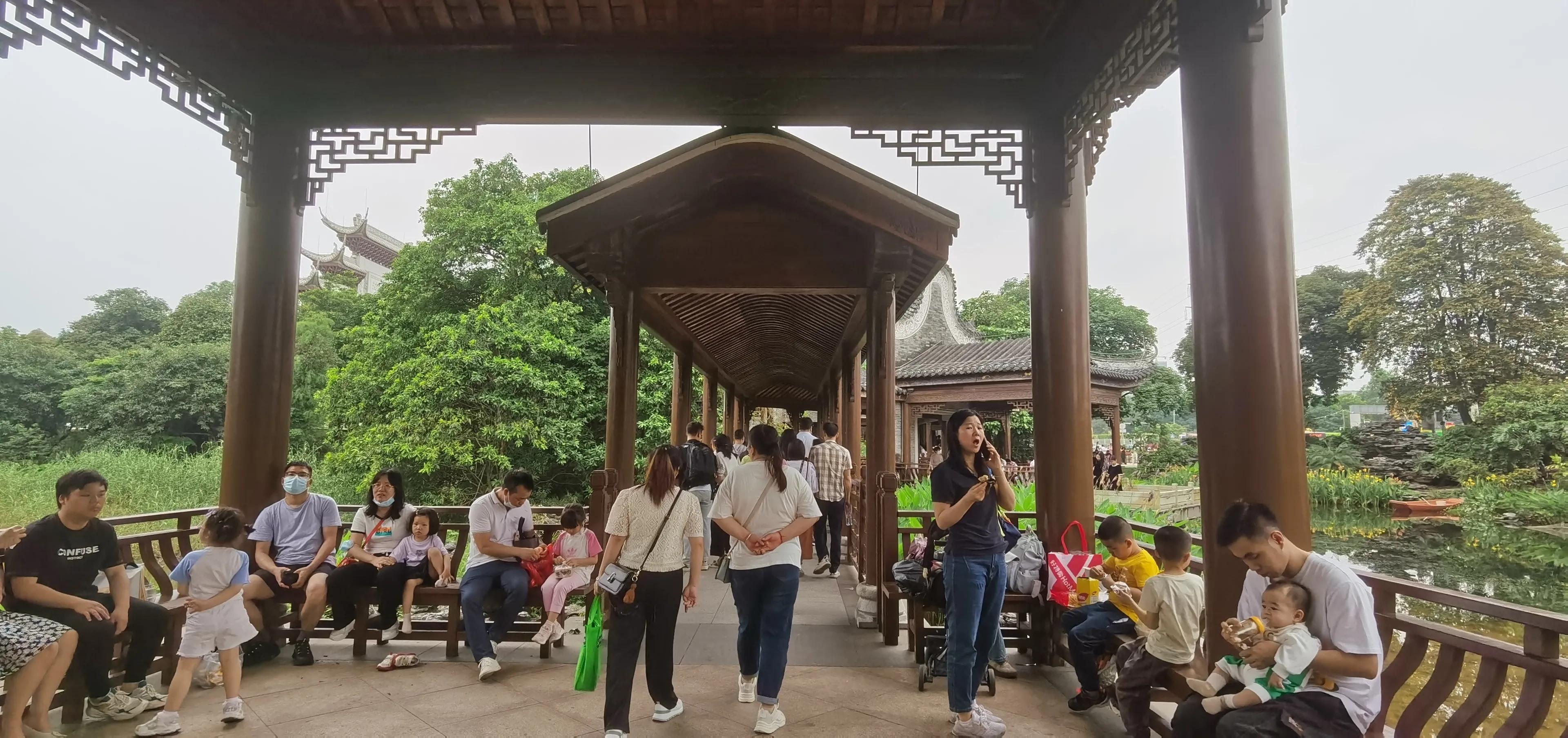 海珠湖湿地公园观鸟,海珠湖湿地公园地图