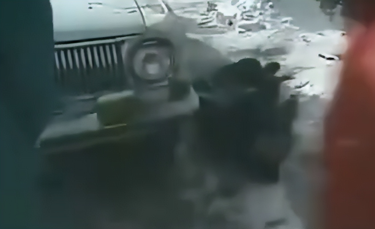 沈阳38大案五名死刑犯最后影像,沈阳3.8大案死刑犯临刑前采访