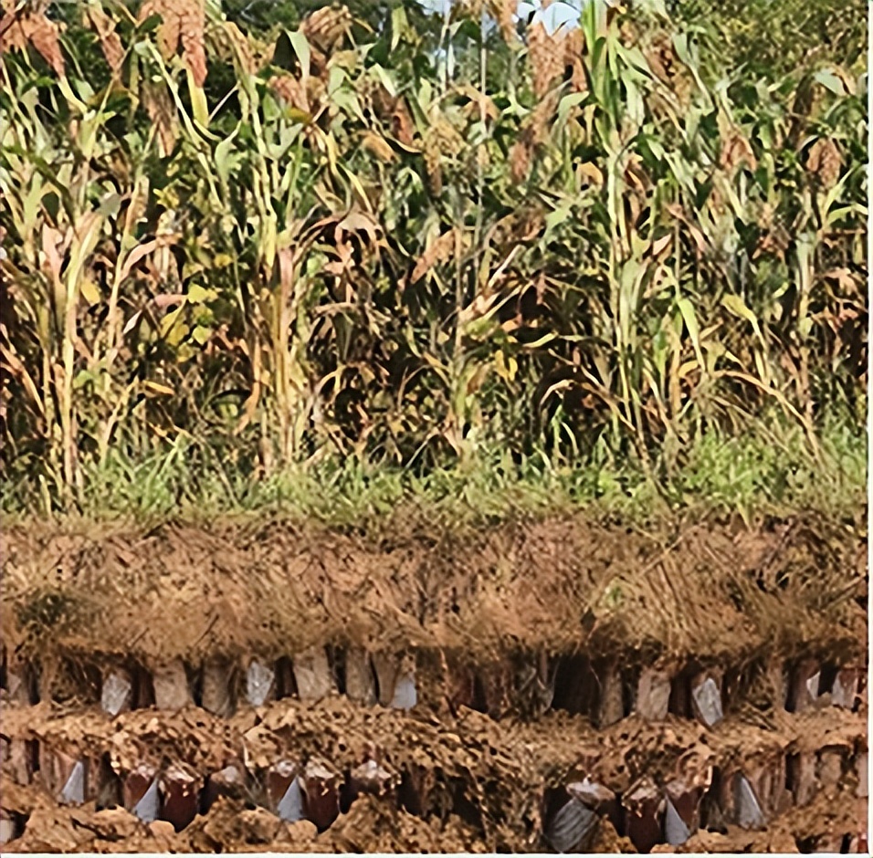 赖茅97香港回归特制酒为什么便宜,97年香港回归赖茅2斤装纪念酒