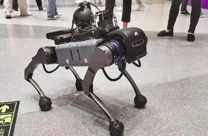 杭州亚残运会行走机器人,杭州亚运会智能动车组的图片