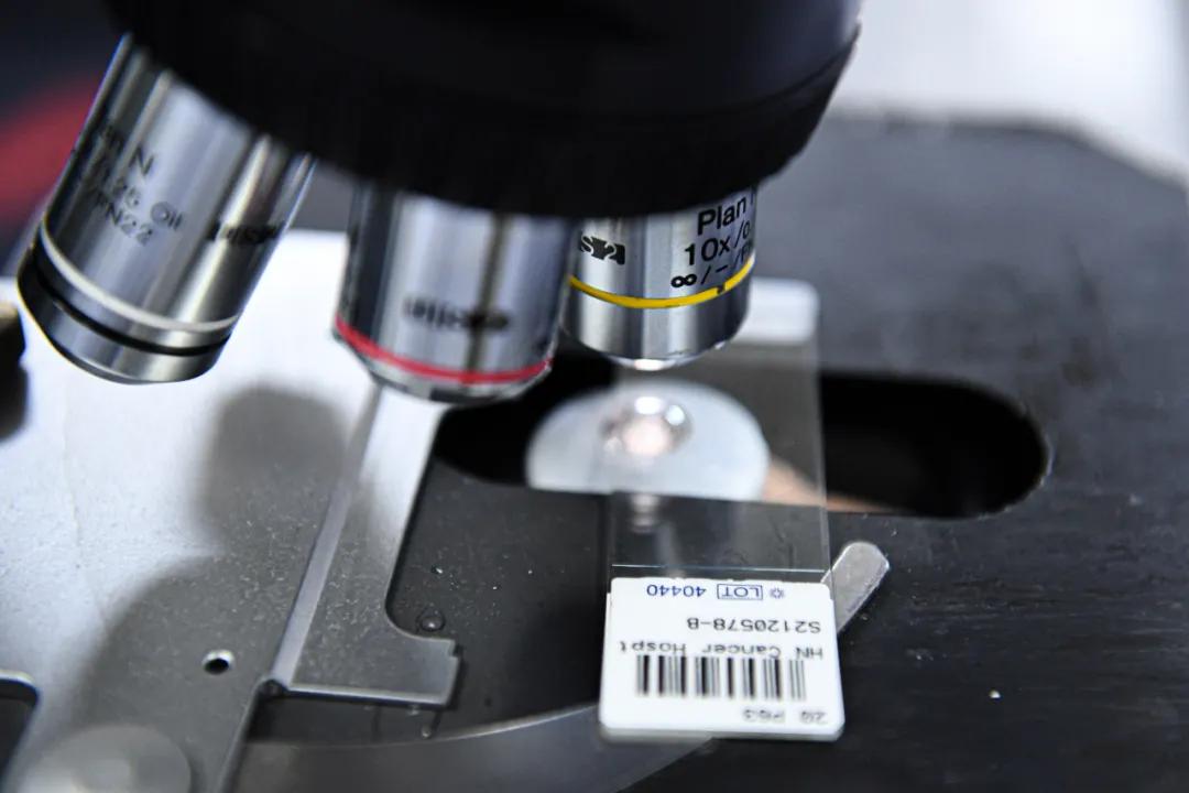 活体病理切片是什么,探访医院病理科