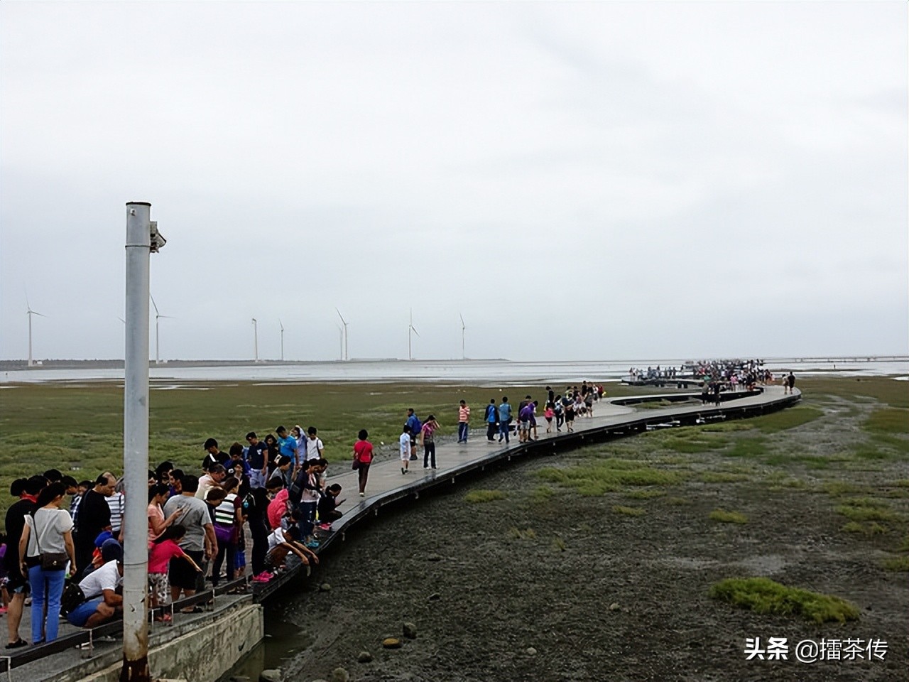 高美湿地最佳夕阳观景点,一个很美的湿地景区
