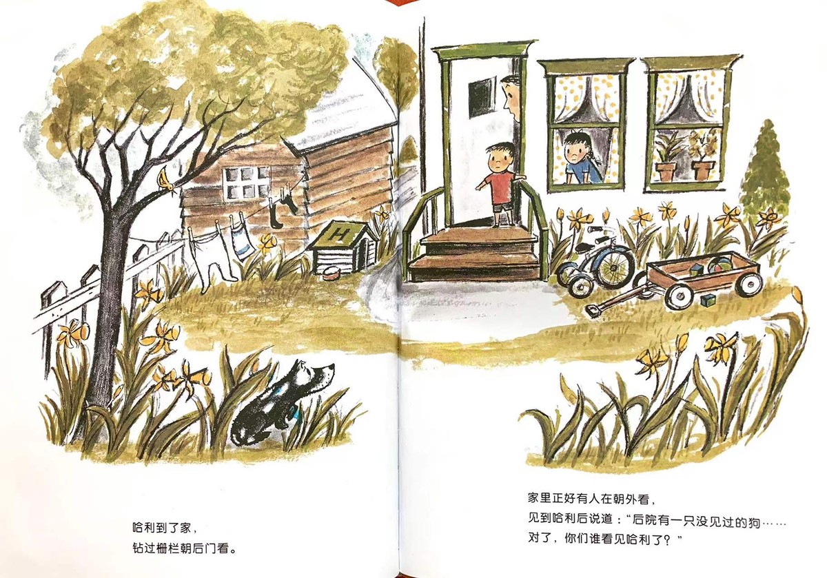 儿童绘本不爱洗澡的小猪,如果不洗澡儿童绘本