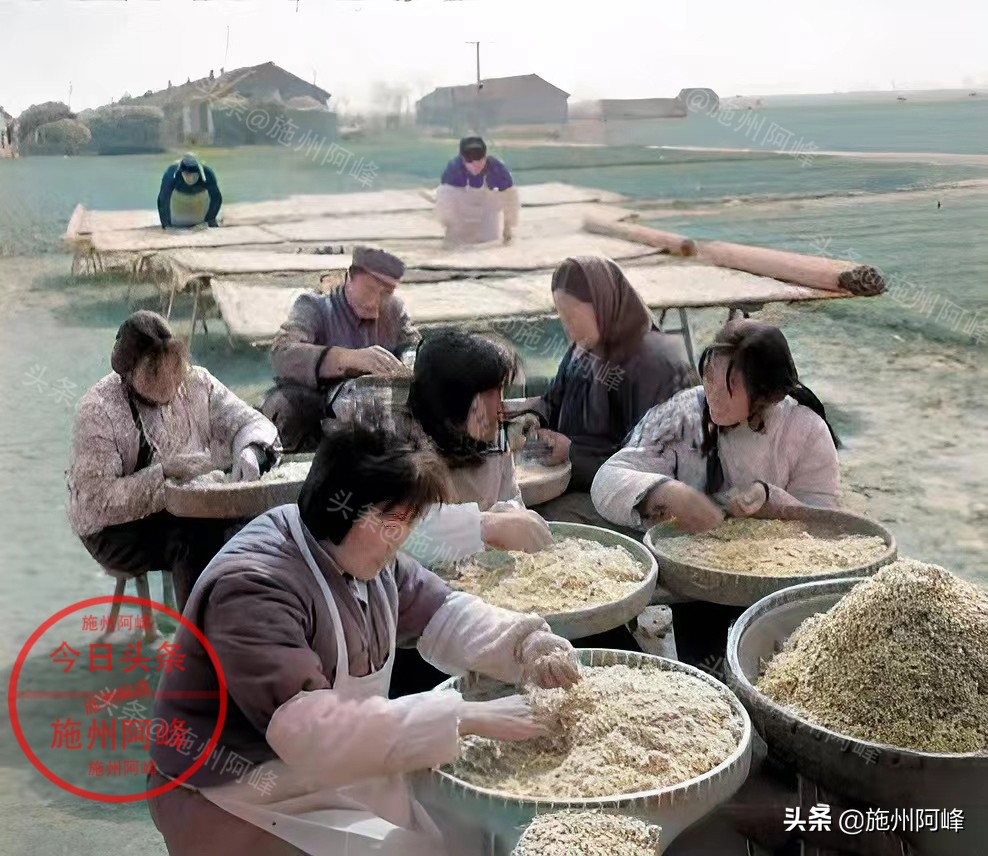 农民推独轮车买肥料,农村80年代农具照片真实照片