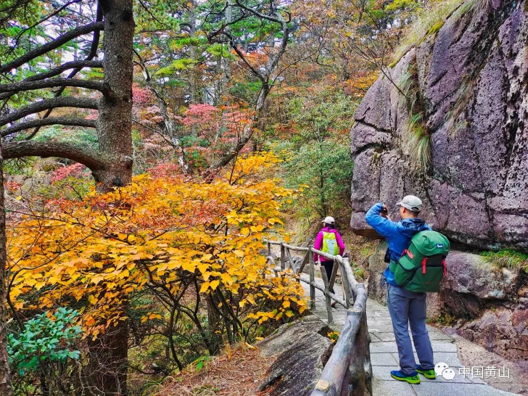 四季黄山,最治愈你的是哪一个季节